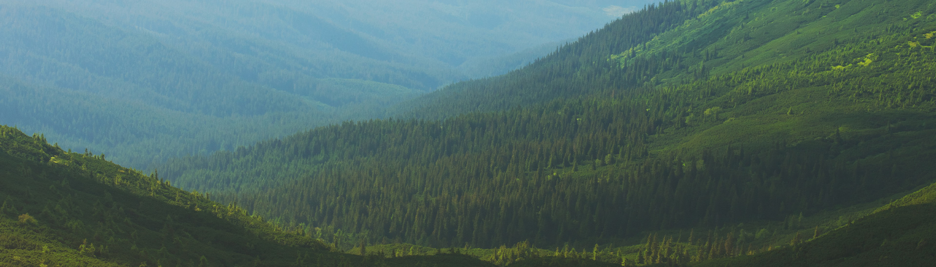 Jiangxi Qingzhu Technology Co., Ltd.